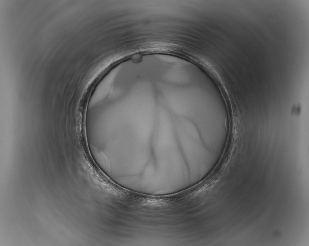 X0000114700835200911121538