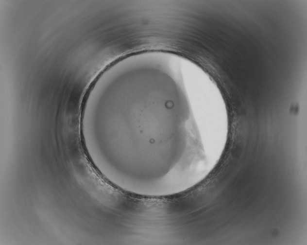 X0000114700836200911121538