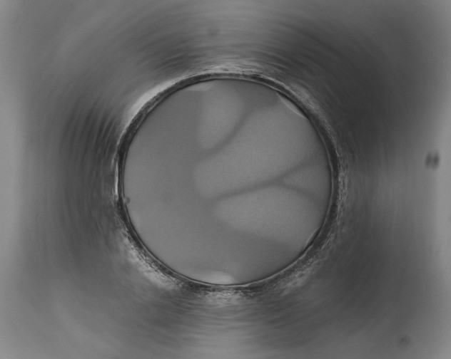 X0000114700838200911121538