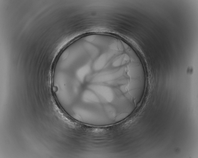 X0000114700839200911121538