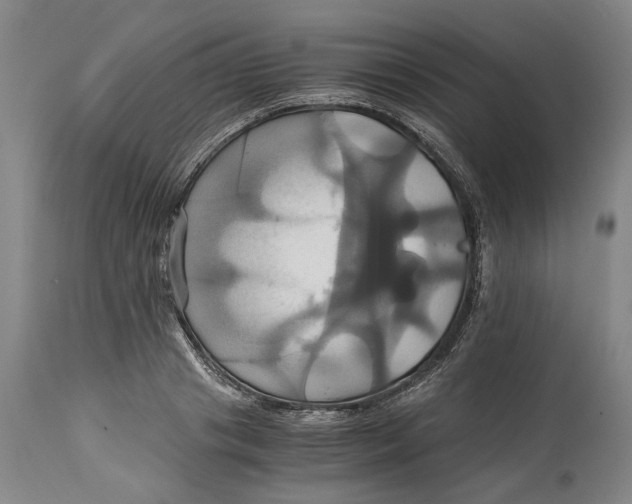 X0000114700841200911121538