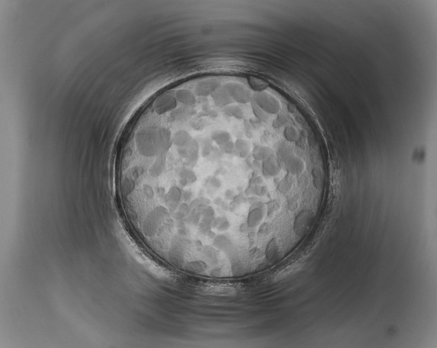 X0000114700843200911121538