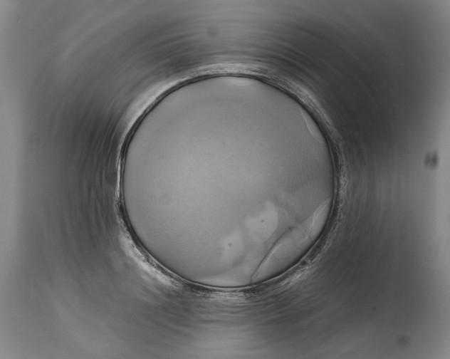 X0000114700844200911121538