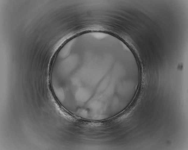 X0000114700845200911121538