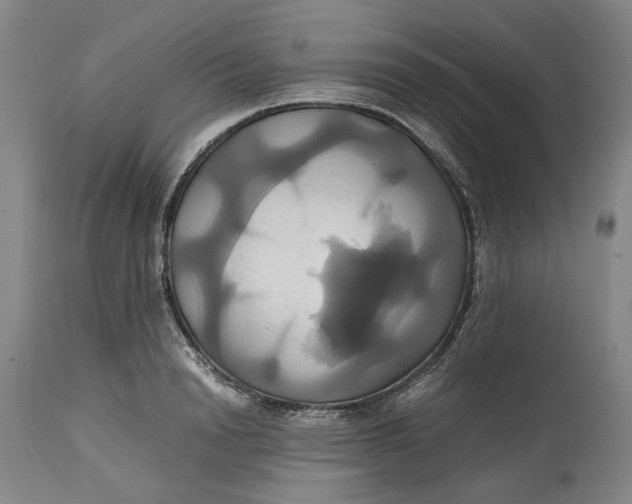 X0000114700846200911121538