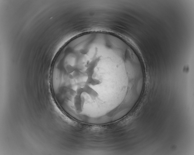 X0000114700847200911121538