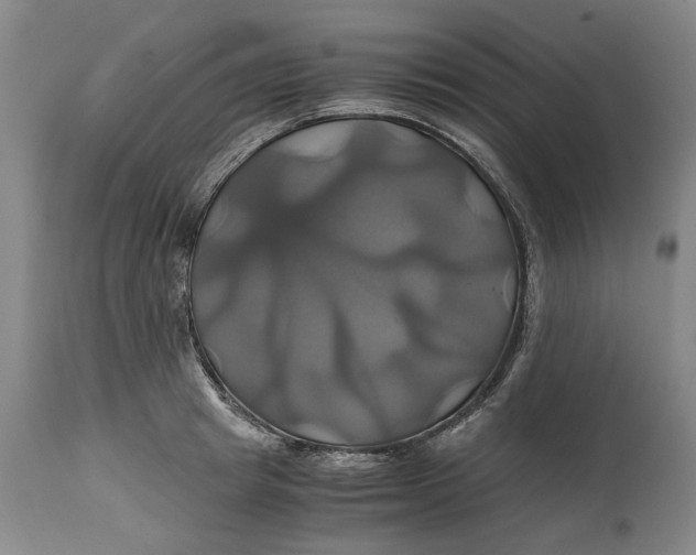 X0000114700849200911121538