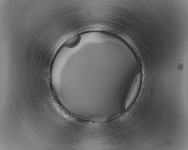 X0000114700850200911121538