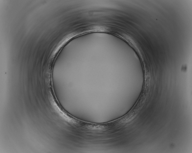 X0000114700851200911121538