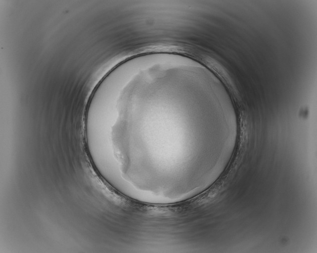 X0000114700852200911121538