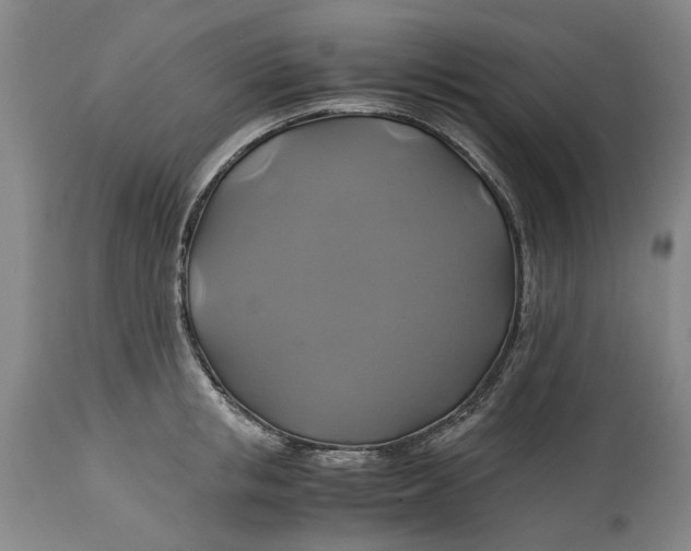 X0000114700853200911121539