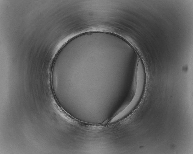 X0000114700854200911121539