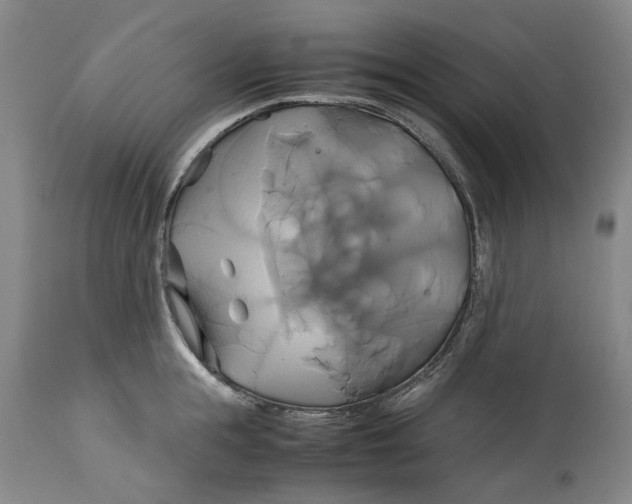 X0000114700855200911121539