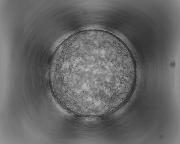 X0000114700857200911121539