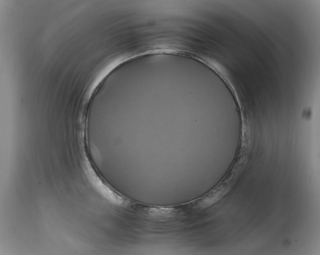 X0000114700859200911121539