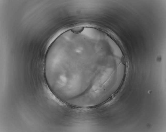 X0000114700860200911121539