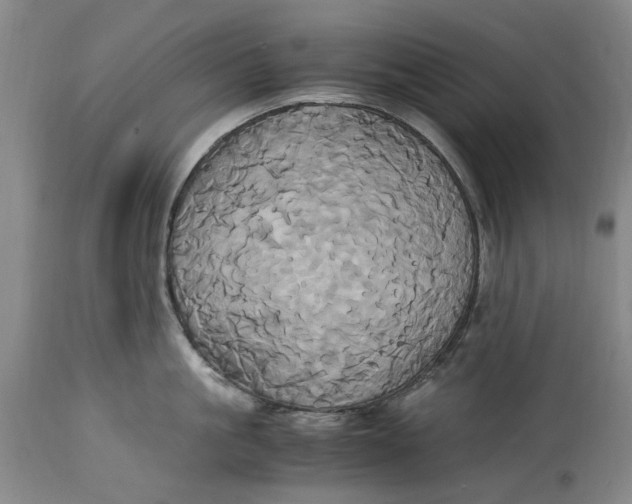 X0000114700861200911121539