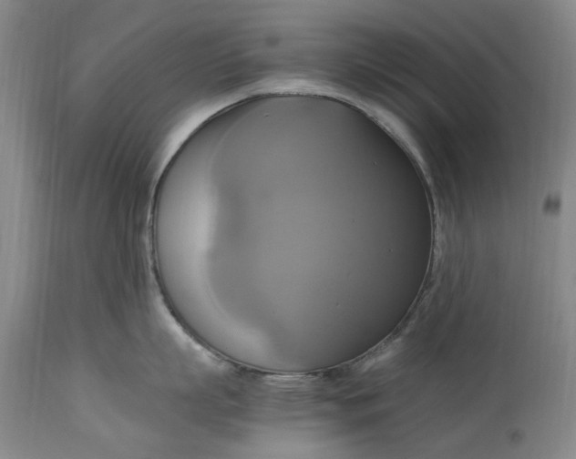 X0000114700863200911121539