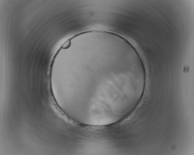 X0000114700864200911121539