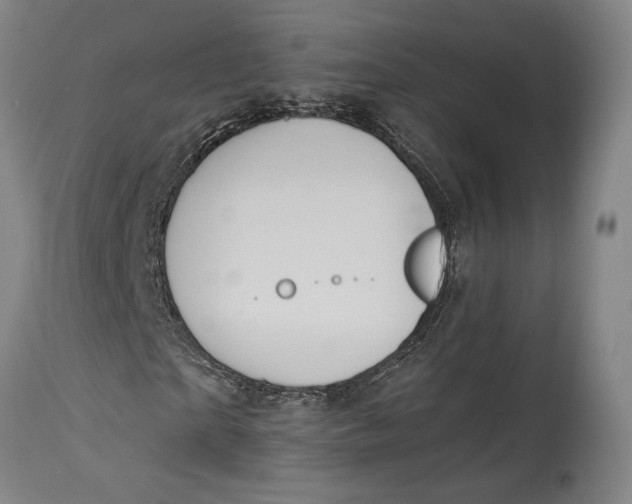 X0000114700865200911121538