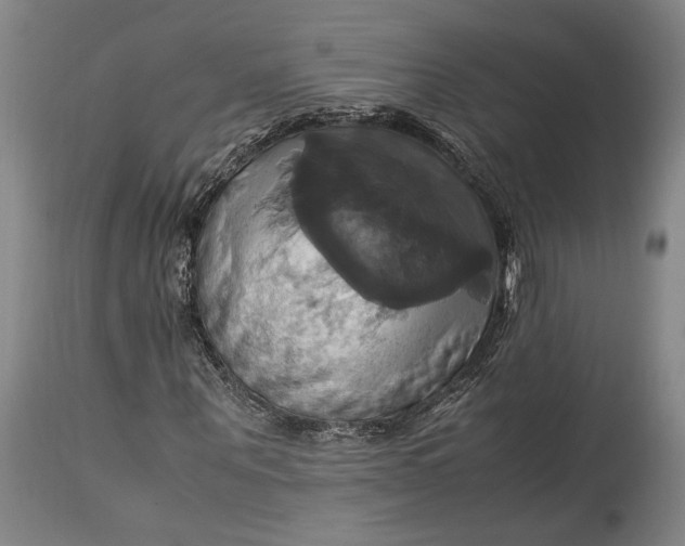 X0000114700867200911121538