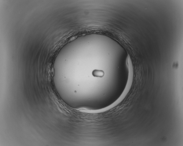 X0000114700868200911121538