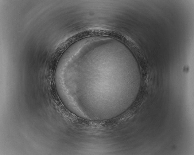 X0000114700870200911121538