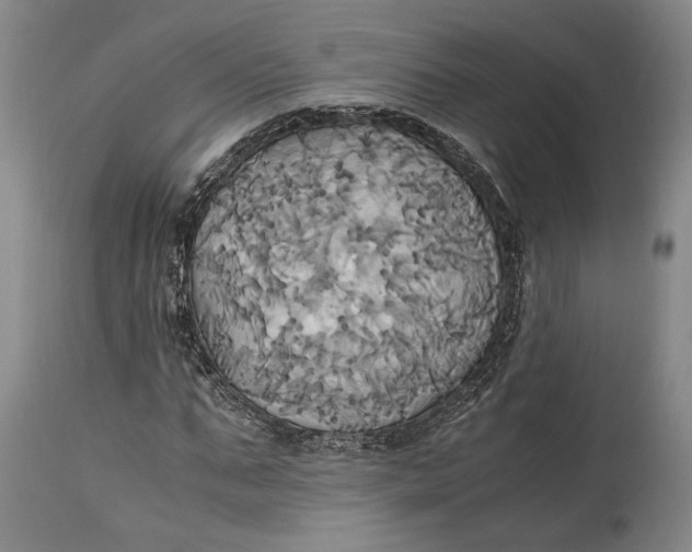 X0000114700871200911121538