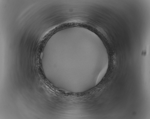 X0000114700872200911121538