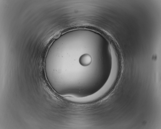 X0000114700873200911121538