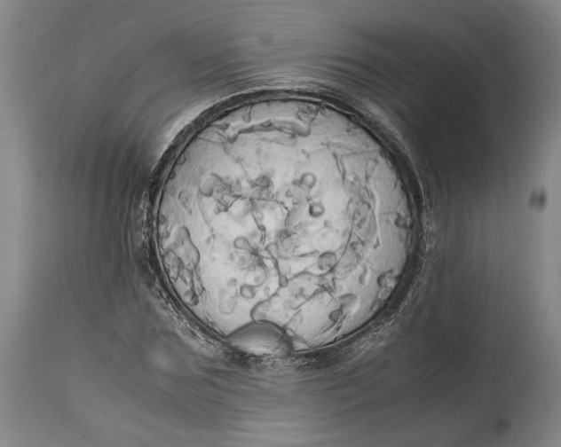 X0000114700875200911121538