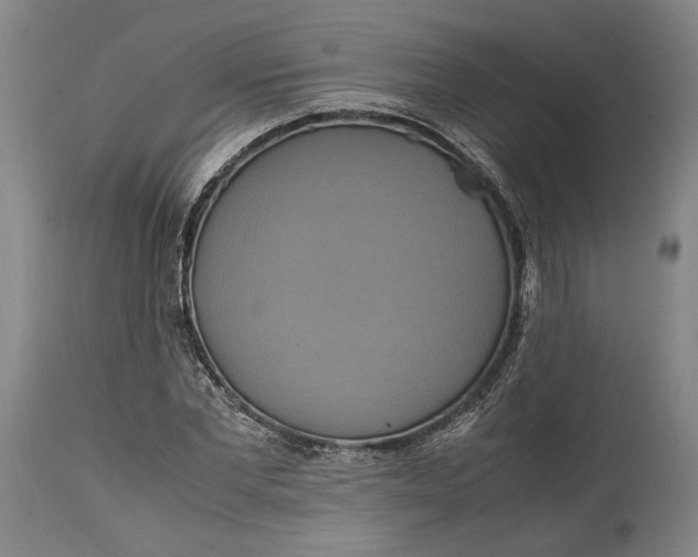 X0000114700877200911121538