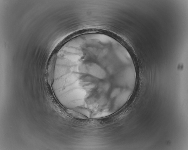 X0000114700879200911121538