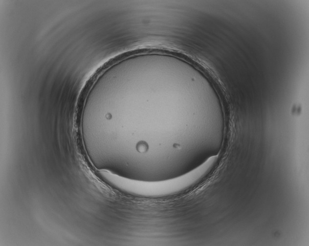 X0000114700880200911121538