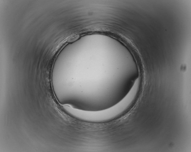 X0000114700881200911121538