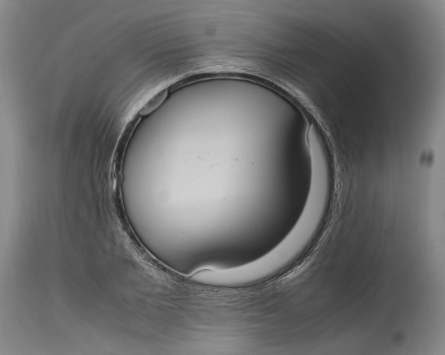 X0000114700885200911121538