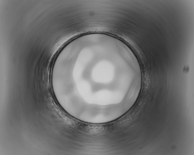 X0000114700886200911121538