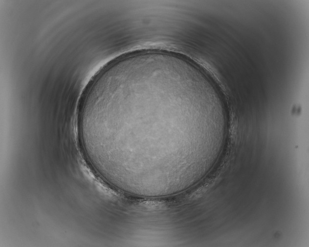 X0000114700888200911121538