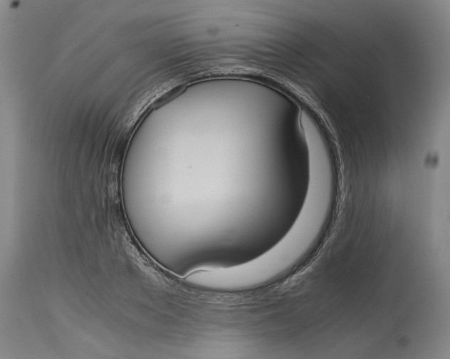 X0000114700889200911121538