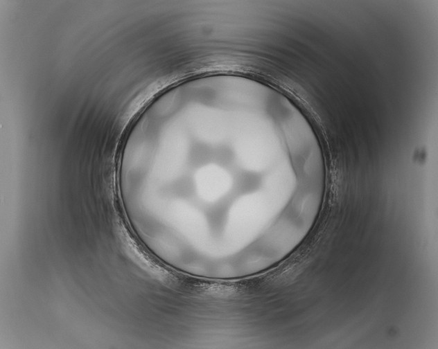 X0000114700890200911121538