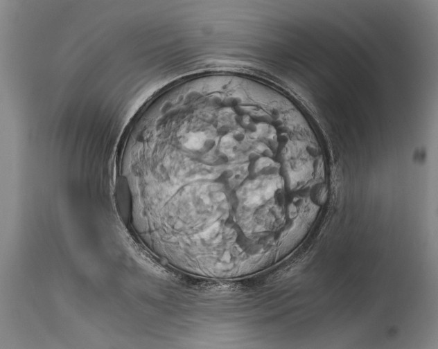 X0000114700891200911121538