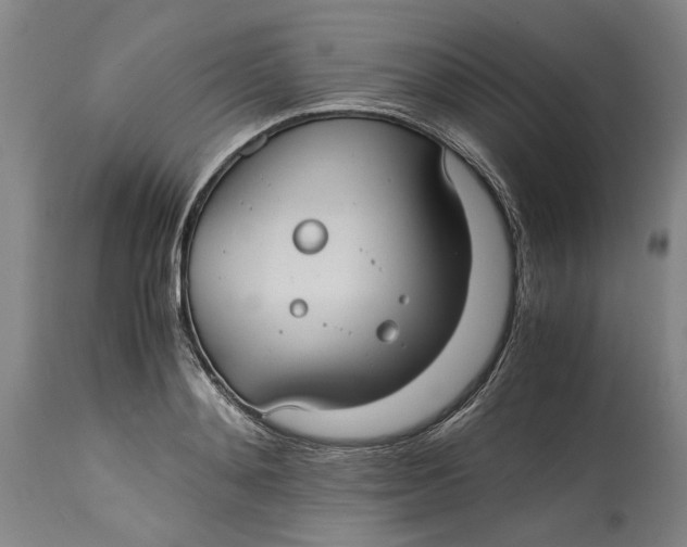 X0000114700892200911121538