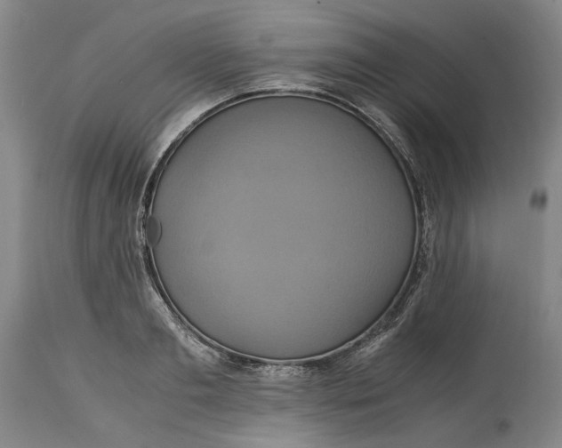 X0000114700893200911121538