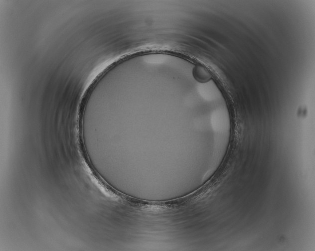 X0000114700894200911121538