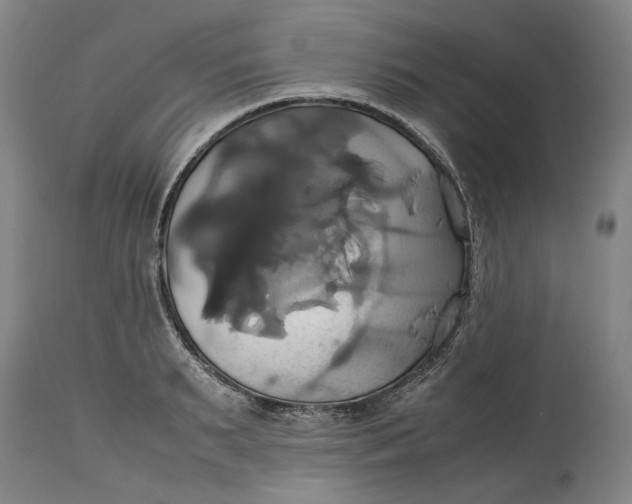 X0000114700895200911121538