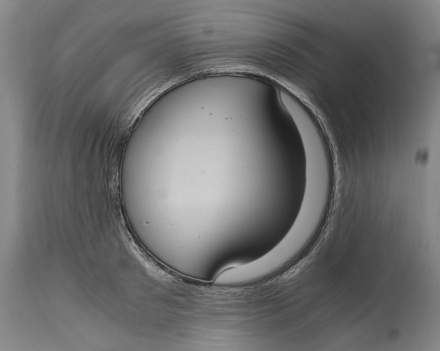 X0000114700897200911121538