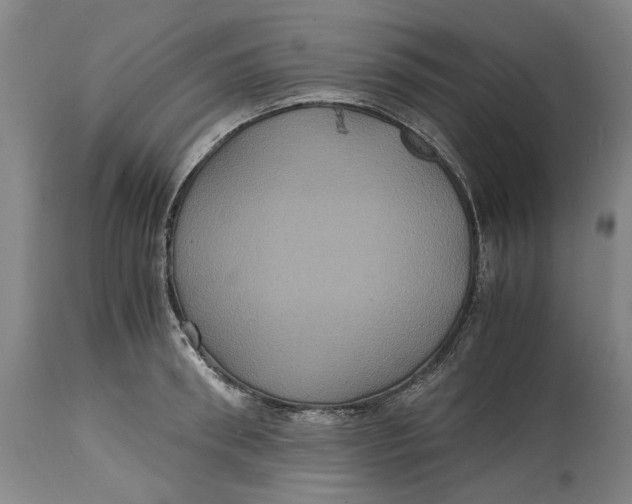 X0000114700898200911121538