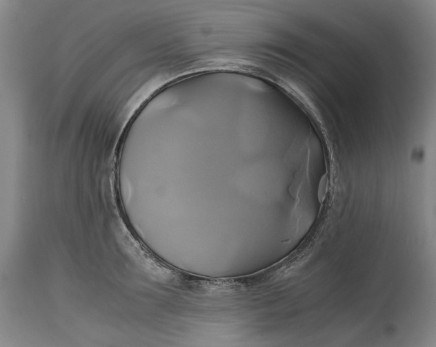 X0000114700899200911121538