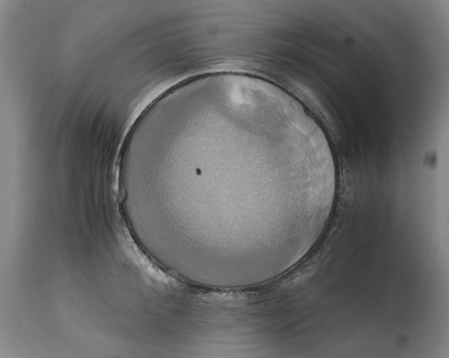 X0000114700900200911121538