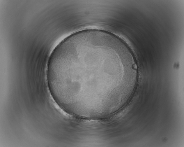 X0000114700902200911121537